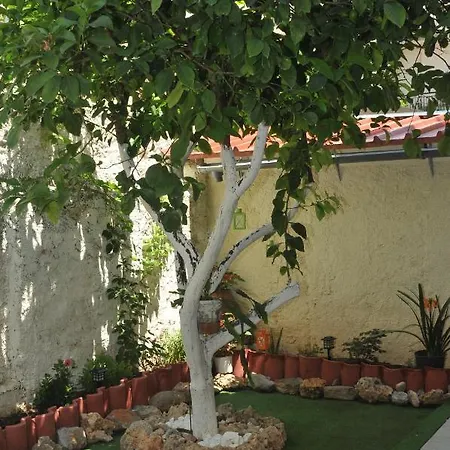 Demi's Garden Near The Metro Of
